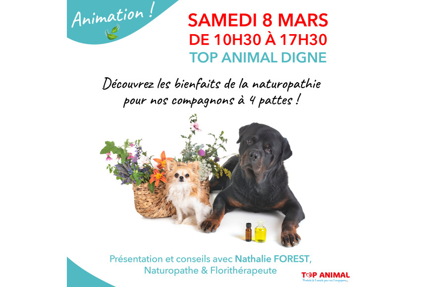 DECOUVERTE DE LA NATUROPATHIE ANIMALIERE